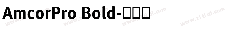 AmcorPro Bold字体转换